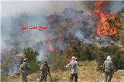 مهار آتش‌سوزی در سالن کوه دزفول